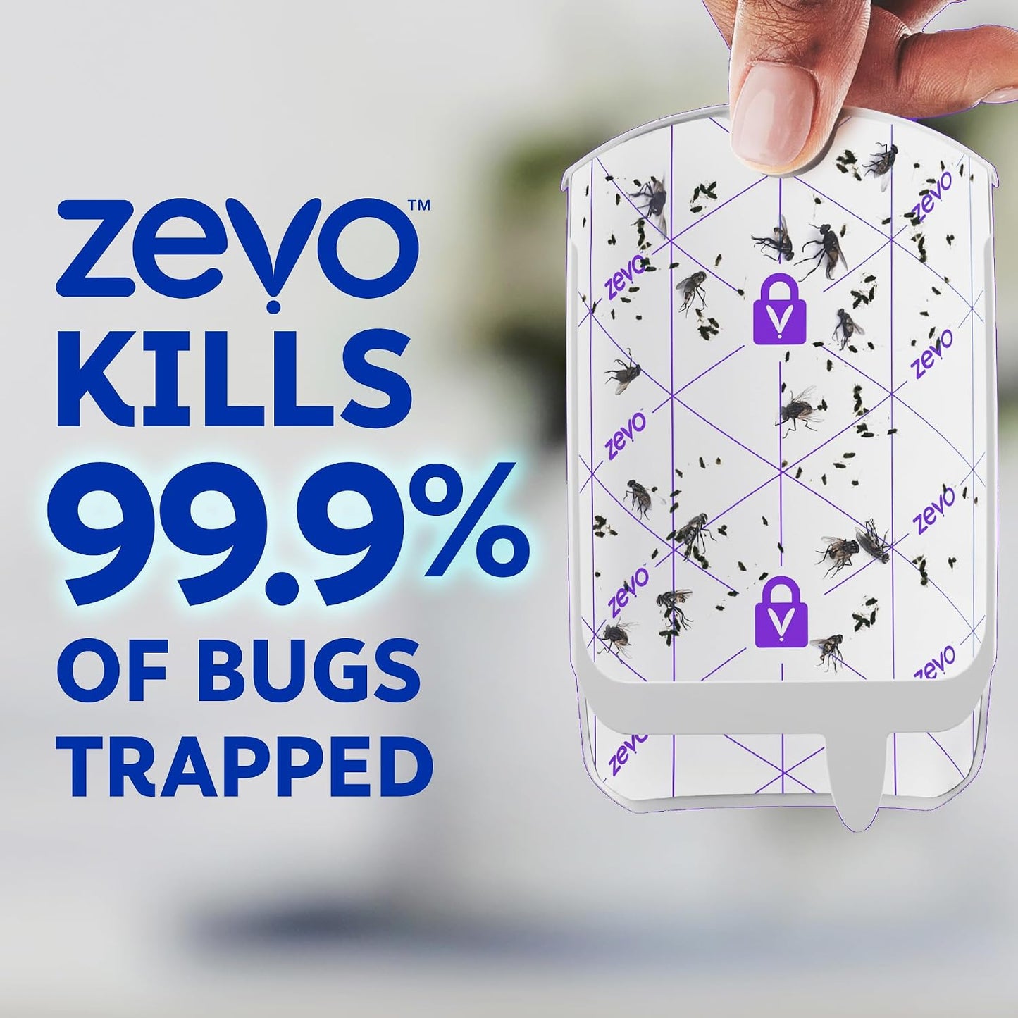 Zevo Flying Insect Trap for Fruit Flies & Gnats
