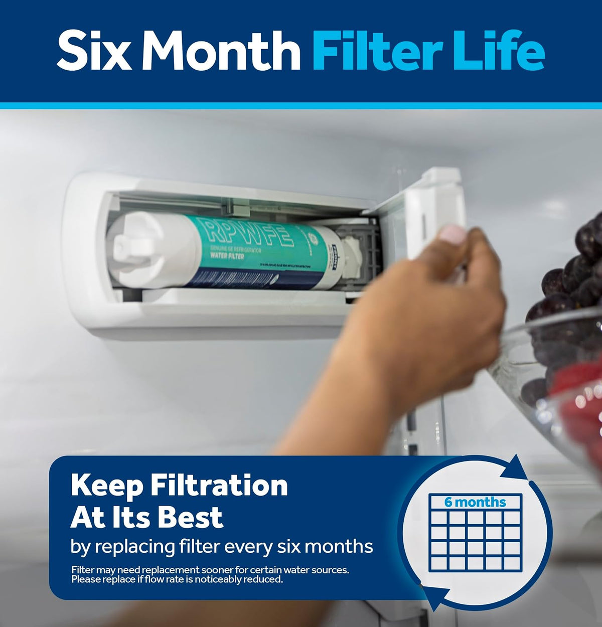Refrigerator Water Filter GE RPWFE Replacement