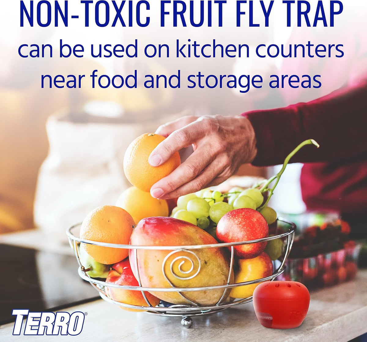 Terro Fruit Fly Traps for Indoors (12 Pack) + 540 Days of Lure Supply