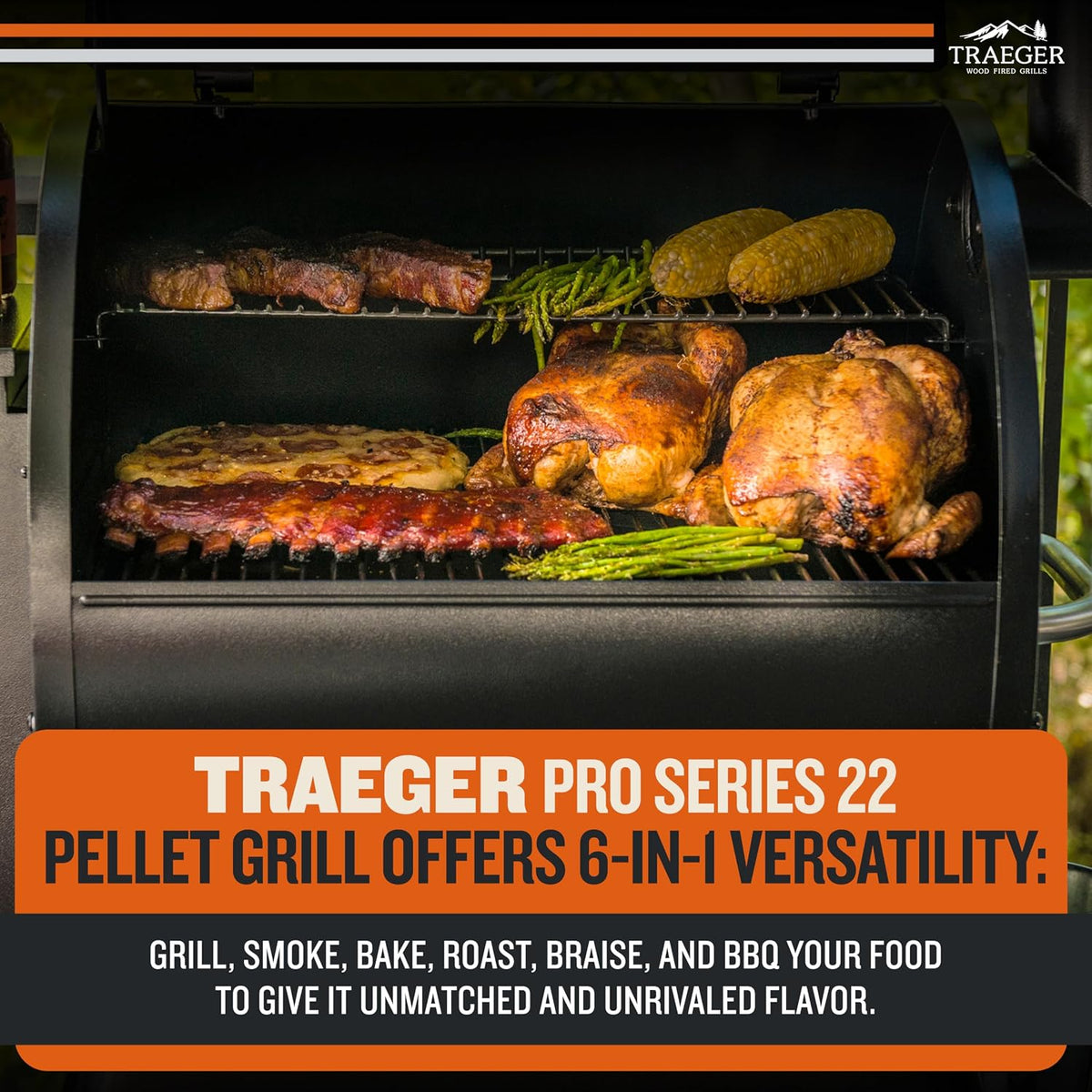 Traeger Pro Series 22 Pellet Grill