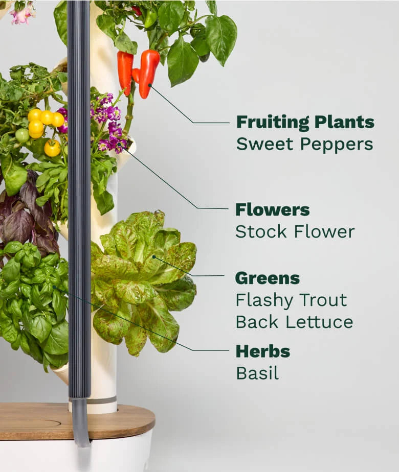 Gardyn Hydroponics Growing System 4.0 & Vertical Garden Planter Indoor Smart Garden