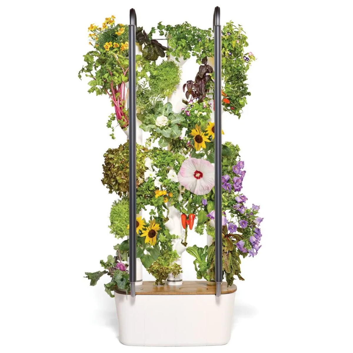 Gardyn Hydroponics Growing System 4.0 & Vertical Garden Planter Indoor Smart Garden